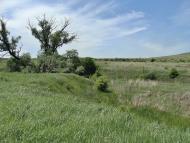 Вільхівка з panoramio.com