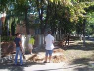 Вільна Тарасівка з panoramio.com