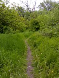 Артема з panoramio.com