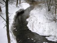 Шевченко з panoramio.com