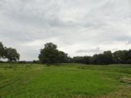 Карнаухівка з panoramio.com