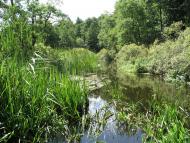 Стобихва з panoramio.com