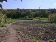 Босівка з panoramio.com