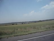 Горького з panoramio.com