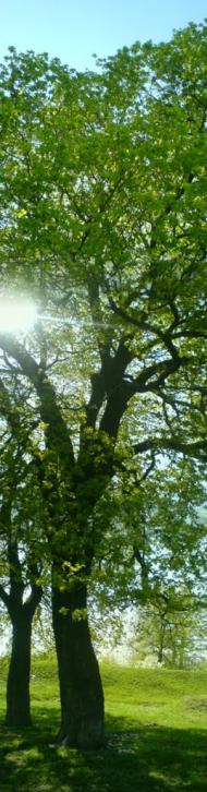 Світильня з panoramio.com