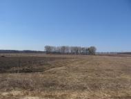 Малинівка з panoramio.com