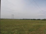 Роїще з panoramio.com