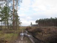 Морозівка з panoramio.com - Morozivka
