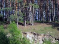 Озерне з panoramio.com