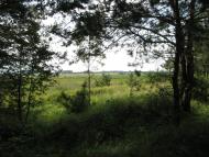 Кривецьке - Останні фото