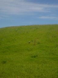 Великий Омеляник з panoramio.com