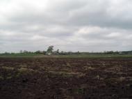 Тарасенки з panoramio.com