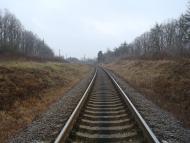 Кузьмин з panoramio.com