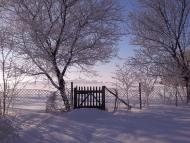 Ріпна з panoramio.com