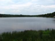 Дернаки з panoramio.com