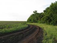 Біленьке з panoramio.com