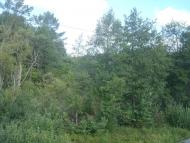 Савичі з panoramio.com