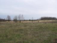 Язвинка з panoramio.com