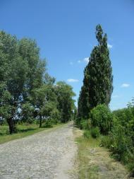 Сніжна з panoramio.com