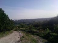 Біленьке з panoramio.com