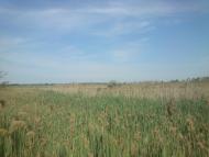 Хмельницьке з panoramio.com