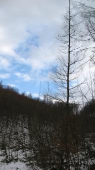 Ворочово з panoramio.com - Ворочево
