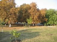 Великокомарівка з panoramio.com