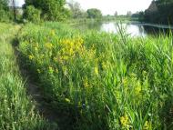 Хворостянівка з panoramio.com