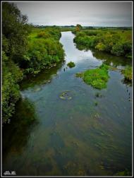 Олександрія з panoramio.com