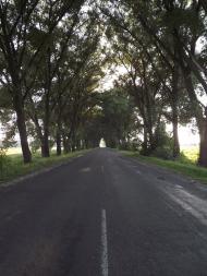 Бистрі з panoramio.com