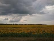 Халявин з panoramio.com