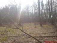 Ображіївка з panoramio.com