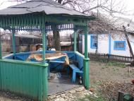 Красна Зоря - Останні фото