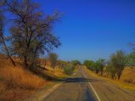 Табачне з panoramio.com