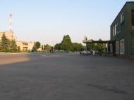 Олександрівка з panoramio.com