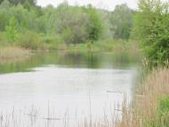 Дмитрівка з panoramio.com