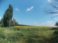 Китайгород з panoramio.com