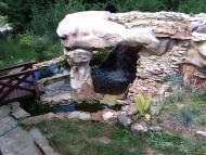 Урожайне з panoramio.com