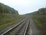 Буйволівці з panoramio.com