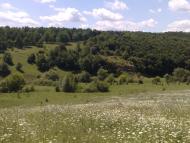 Покутине з panoramio.com