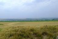 Новий Стародуб з panoramio.com
