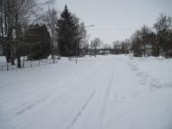 Велика Дівиця - Останні фото