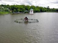 Іваньки з panoramio.com