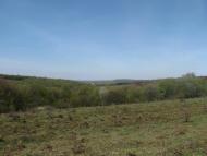 Городиська з panoramio.com