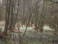 Правобережна Сокілка з panoramio.com