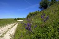 Староміщина з panoramio.com