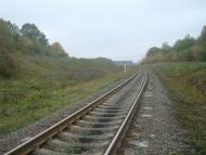 Буйволівці з panoramio.com