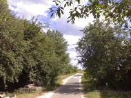 Рудня з panoramio.com