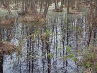 Правобережна Сокілка з panoramio.com