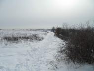 Зарванці з panoramio.com - Зарванцы